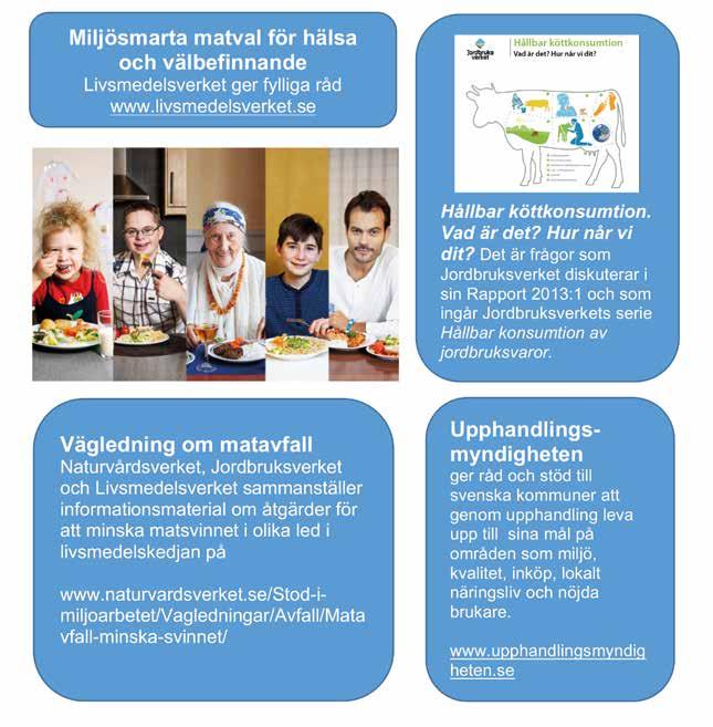 Svenska myndigheter i omställningen till ett