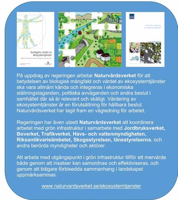 Svenska myndigheter i omställningen till ett