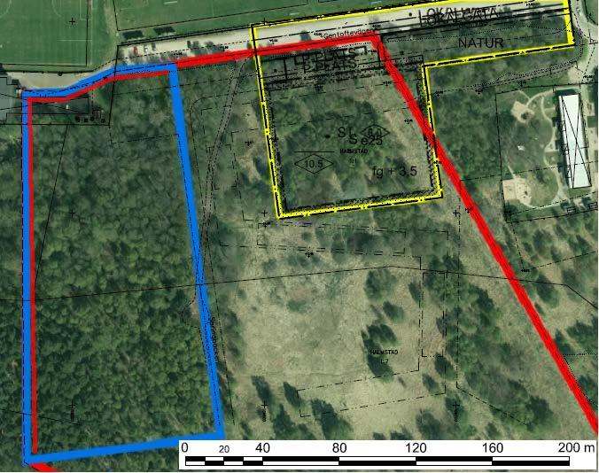 Bilaga 1 Figur 1: Detaljplan och naturvärden vid fastigheten Halmstad 1:1. Blått = Naturområde med känslig hydrologi. Gult = Detaljplanområde. Rött = Område för naturvärdesinventering.