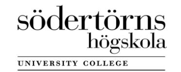 Södertörns högskola Institutionen för Ekonomi och Företagande Företagsekonomi - Finansiering Kandidatuppsats 15