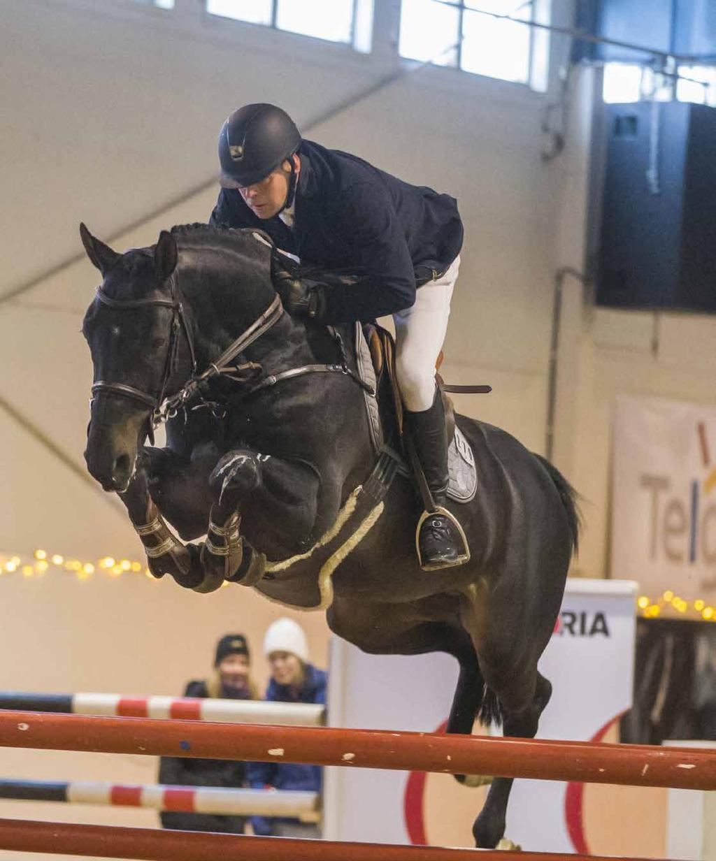 Karmel van de Watering 1332 Söker du ridbarhet, gott temperament och hoppförmåga i kombination med förärvningssäker, internationell prestationshärstamning så stavas det Karmel van de Watering.