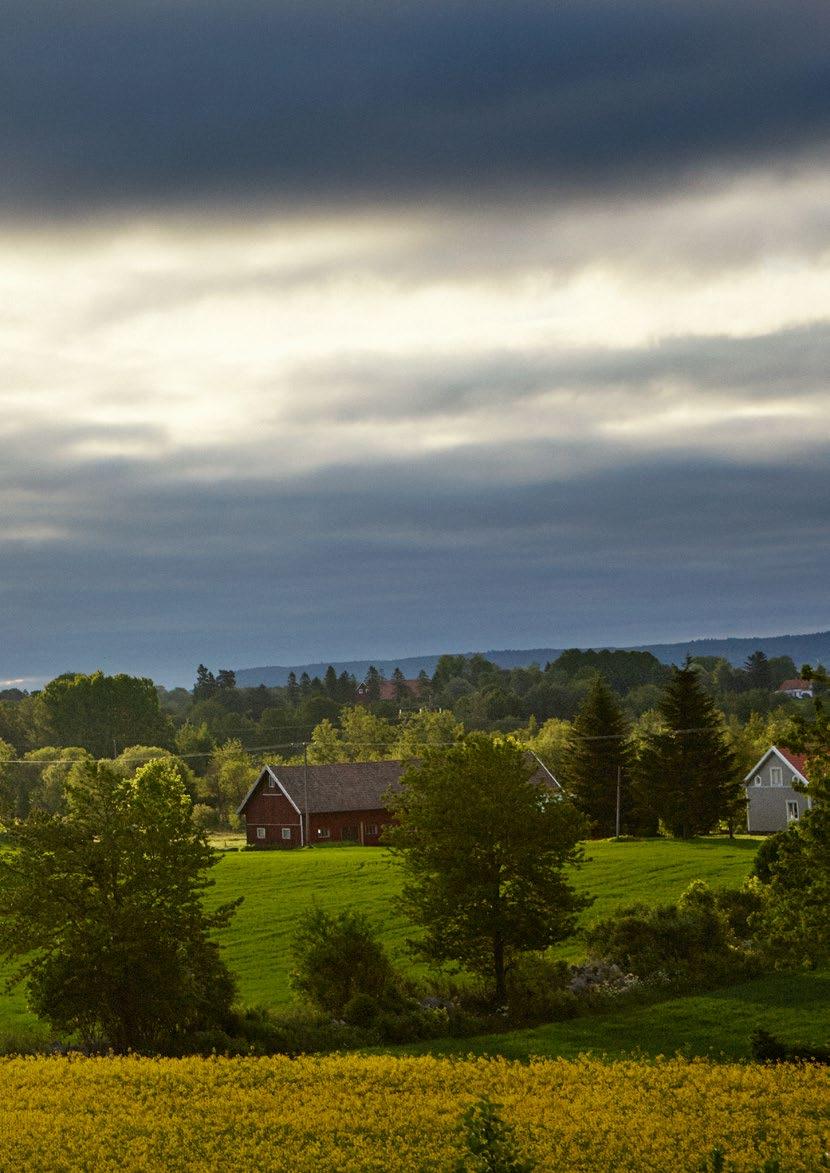 Årsredovisning 2016