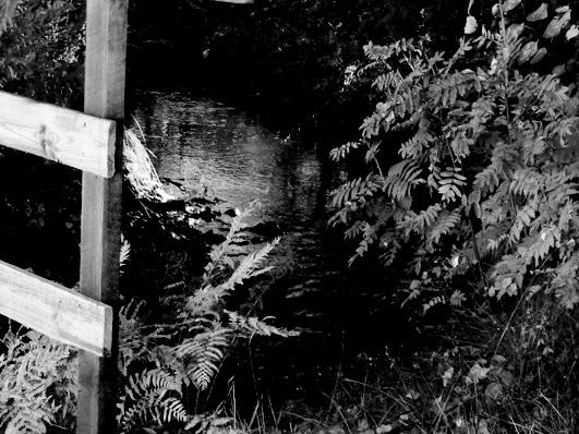 Bottenfauna i Jönköpings län 25 1 Vattensystem: Vattendrag/namn: Provpunktsbeteckning: VÄTTERNS TILLFLÖDE Rödån, ned vandringshinder JÖV7 Provdatum: 2514 Koordinater x: 643692 y: 14437 Kommun: Habo