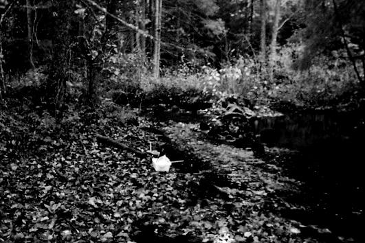 Bottenfauna i Jönköpings län 25 16 Vattensystem: Vattendrag/namn: Provpunktsbeteckning: LAGAN Storkvarnsån, Storkvarnen JÖL3 Provdatum: 25121 Koordinater x: 63788 y: 14282 Kommun: Nässjö Lokaltyp: