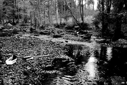 Bottenfauna i Jönköpings län 25 28 Vattensystem: Vattendrag/namn: Provpunktsbeteckning: LAGAN Vämmesån, Ängeberget JÖL17 Provdatum: Lokaltyp: Å 2512 Bedömning av prov från 2512 Allmänt Dominerande