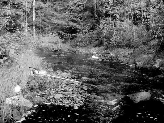 Bottenfauna i Jönköpings län 25 38 Vattensystem: Vattendrag/namn: Provpunktsbeteckning: LAGAN Högaforsån, Stödstorp JÖL31 Provdatum: 2515 Koordinater x: 63776 y: 139825 Kommun: Vaggeryd Lokaltyp: