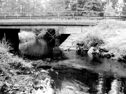 Bottenfauna i Jönköpings län 25 48 Vattensystem: Vattendrag/namn: Provpunktsbeteckning: LAGAN Västerån, Åker JÖL41 Provdatum: 2516 Koordinater x: 636355 y: 13982 Kommun: Vaggeryd Lokaltyp: Bäck