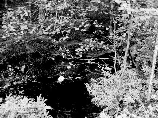 Bottenfauna i Jönköpings län 25 52 Vattensystem: Vattendrag/namn: Provpunktsbeteckning: LAGAN Modalaån, Kvarnberget JÖL45 Provdatum: 2515 Koordinater x: 63689 y: 138457 Kommun: Gnosjö Lokaltyp: Bäck