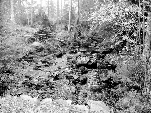 Bottenfauna i Jönköpings län 25 56 Vattensystem: Vattendrag/namn: Provpunktsbeteckning: LAGAN Bockebobäcken, Bockebo JÖL53 Provdatum: 2516 Koordinater x: 636215 y: 13931 Kommun: Vaggeryd Lokaltyp: