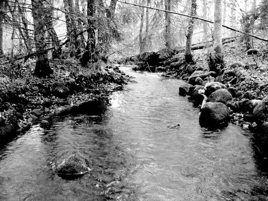 Bottenfauna i Jönköpings län 25 6 Vattensystem: Vattendrag/namn: Provpunktsbeteckning: LAGAN Lillån, Herrestadssjön ned JÖL63 Provdatum: 25122 Koordinater x: 634222 y: 138359 Kommun: Värnamo