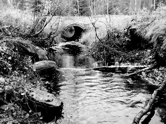 Bottenfauna i Jönköpings län 25 62 Vattensystem: Vattendrag/namn: Provpunktsbeteckning: LAGAN Lillån, Björnö JÖL67 Provdatum: 25122 Lokaltyp: Bäck Naturligt/grävt: grävt Bedömning av prov från 25122