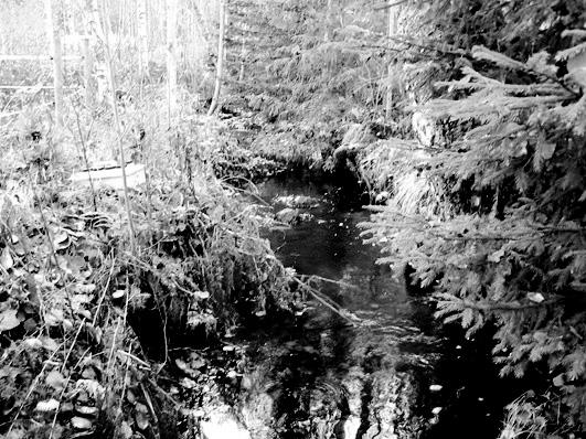 Bottenfauna i Jönköpings län 25 74 Vattensystem: Vattendrag/namn: Provpunktsbeteckning: LAGAN Bäck till Allsarpasjön, Strömsdal JÖL79 Provdatum: 25123 Koordinater x: 634612 y: 14268 Kommun: Sävsjö