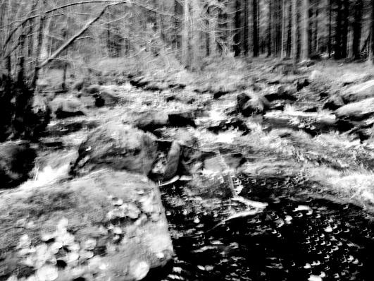 Bottenfauna i Jönköpings län 25 76 Vattensystem: Vattendrag/namn: Provpunktsbeteckning: LAGAN Bantabäcken, Grunnahemmet JÖL81 Provdatum: 25123 Lokaltyp: Bäck Naturligt/grävt: grävt Lokal lämplig för