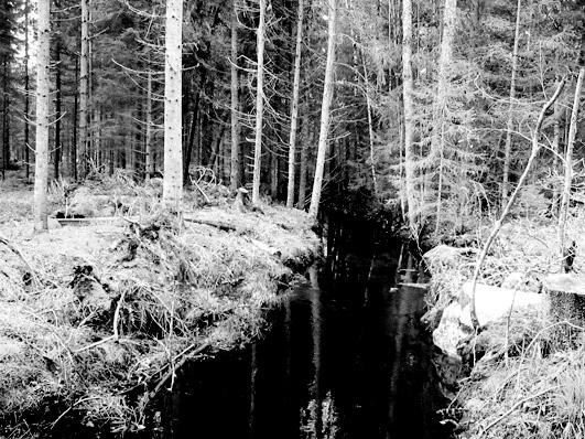 Bottenfauna i Jönköpings län 25 82 Vattensystem: Vattendrag/namn: Provpunktsbeteckning: LAGAN Tomtabäcken, Skräddaretorpet JÖL87 Provdatum: 25124 Koordinater x: 633325 y: 14697 Kommun: Värnamo
