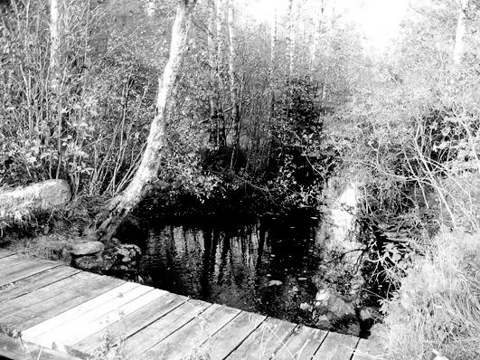 Bottenfauna i Jönköpings län 25 88 Vattensystem: Vattendrag/namn: Provpunktsbeteckning: LAGAN Segerstadsån, L.