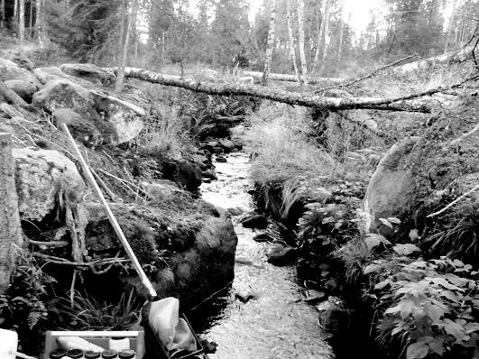 Bottenfauna i Jönköpings län 25 9 Vattensystem: Vattendrag/namn: Provpunktsbeteckning: LAGAN Sågbäcken, Fållen JÖL95 Provdatum: 2516 Koordinater x: 63367 y: 13676 Kommun: Gislaved Lokaltyp: Bäck