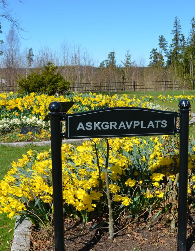 36:Knölbegonia 40:Fuxia 45:- Höstplantor Höstljung i kruka 39:- Vinterdekoration Dekoration Krans