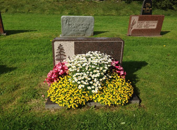 Rosor, plantskoleväxter och perenner enligt särskild beställning.