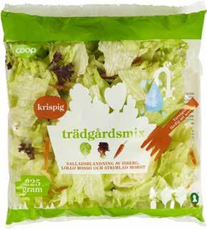Nederländerna. Klass 1. 400 g.