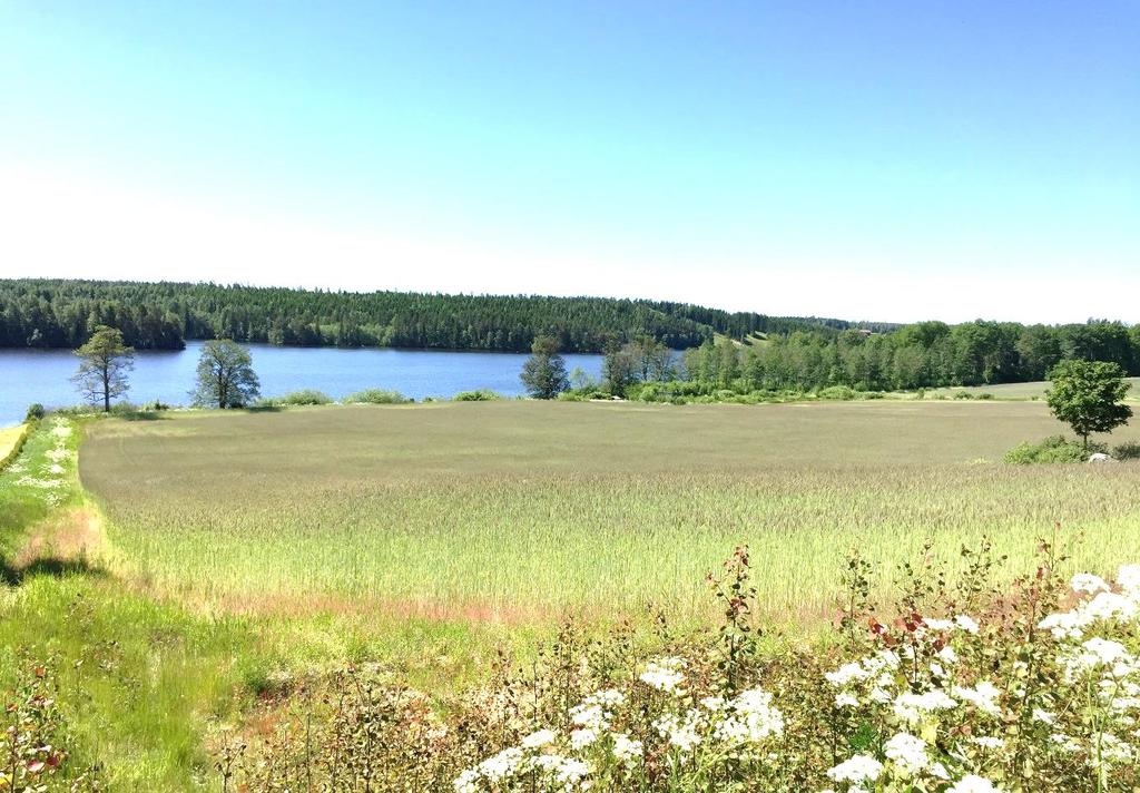 Om det finns särskilda skäl, får dispens från förbudet ges. Fråga om dispens prövas av länsstyrelsen.