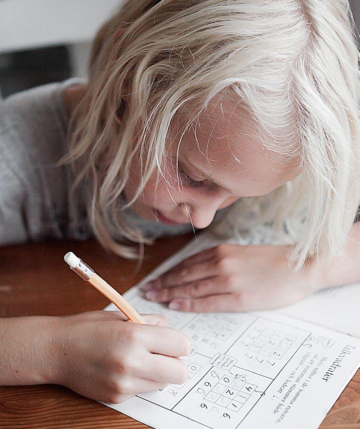 Du är knuten till en förskola/förskoleklass där du möter barn och förskollärare och får möjlighet att planera och genomföra undervisning.