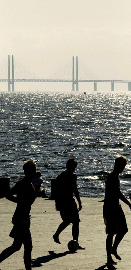 Resiliens - Förmåga att hantera förändring Bakgrund En vilja att lära mer kring hur en stad, region kan hantera förändring på