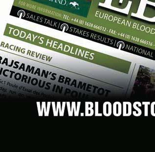 Efter ett fall hamnade han i Irland där han blev utan framgångar och inte ens red lopp under ett antal år.