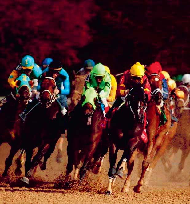 Svenskt Derby nr 100 rids den 16 juli och det här Jubileumsåret gäller det att ha särskild koll på Derbyaktuella treåringar.