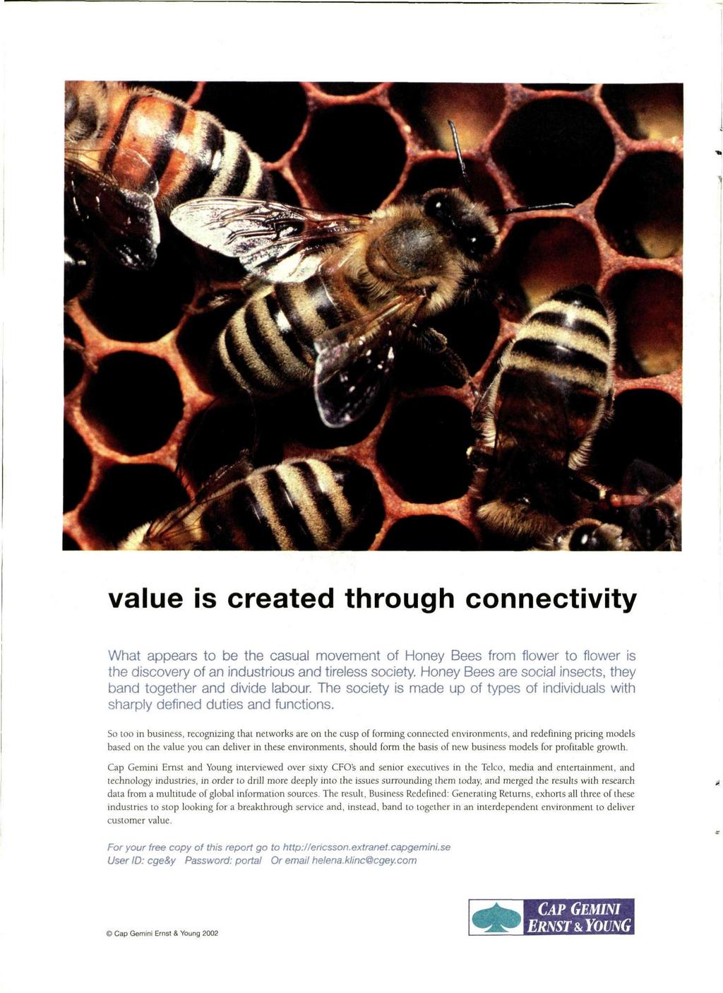 value is created through connectivity What appears to be the casual movement of Honey Bees from flower to flower is the discovery of an industrious and tireless society.