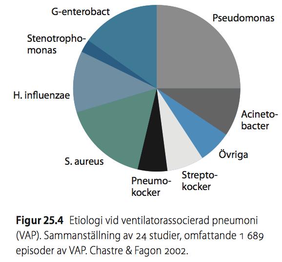 Hedlund & Strålin, Lungmedicin,