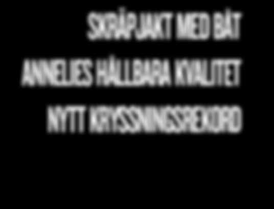 kryssningsrekord