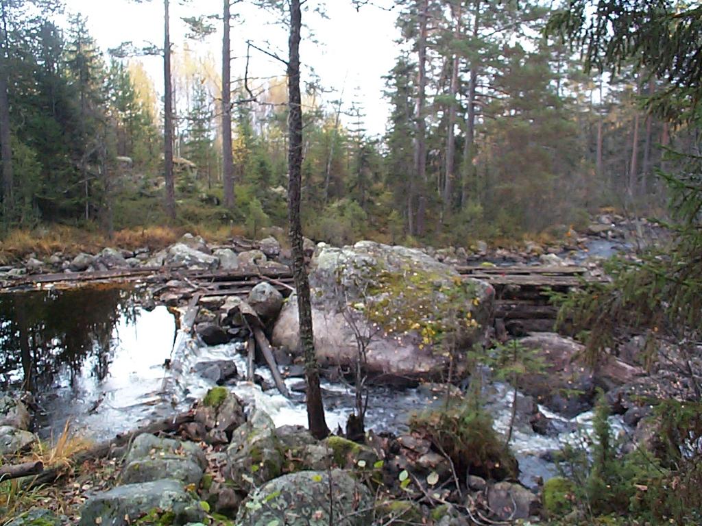 - Falu kommun - LURÅN - Flodpärlmusslor Lurån inventerades 24 enligt standardiserad metod. 748 levande musslor och 731 döda hittades i de 1 lokaler på sammanlagt 198 meter som inventerades av ån.