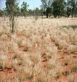 Valuable Ecosystem Services