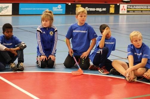 som idrottsrörelsen ska jobba med fram till år