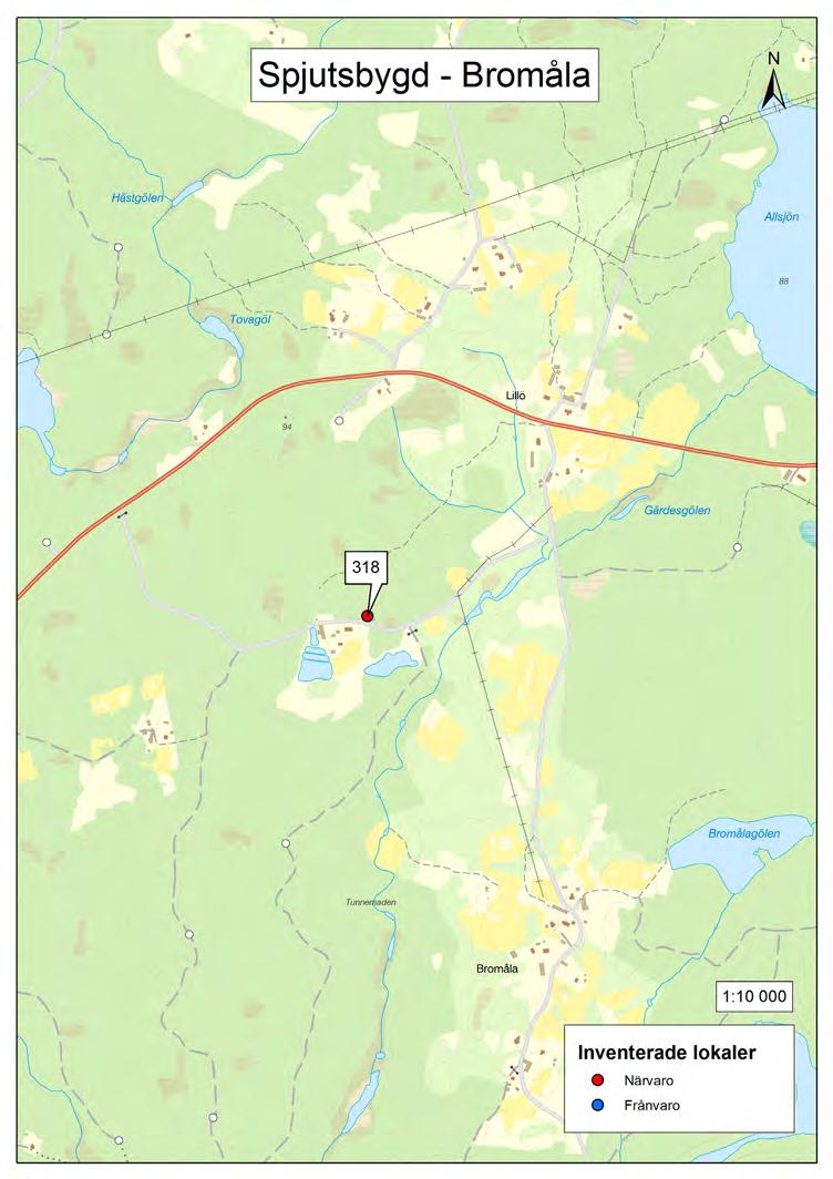 Lokal: 318 NV Bromåla Grävd damm, ca 10*20 meter stor.