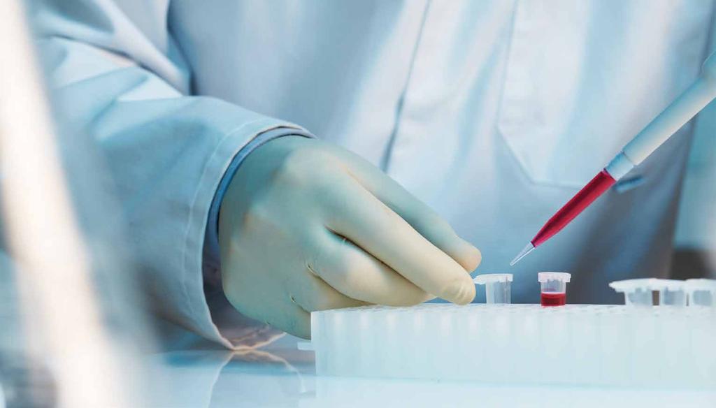 NextCell Pharma AB är aktivt inom stamcellsforskning, ett fält som kan förändra behandlingen av många sjukdomar i framtiden.