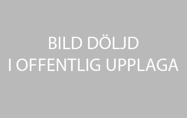 4.15 Färg och form Kollaget nedan visar de olika former, funktioner och färger som projektet haft i åtanke vid framtagning av produkten.