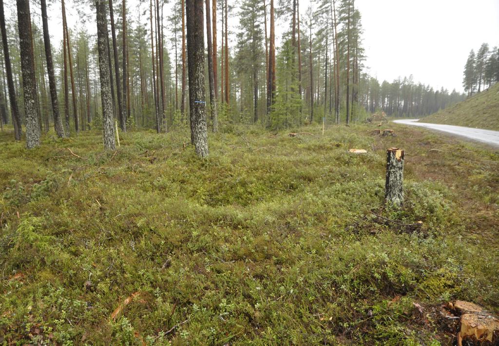 Fångstgropar vid väg 315 Arkeologisk undersökning av RAÄ Klövsjö 72:1 och Klövsjö 75:1