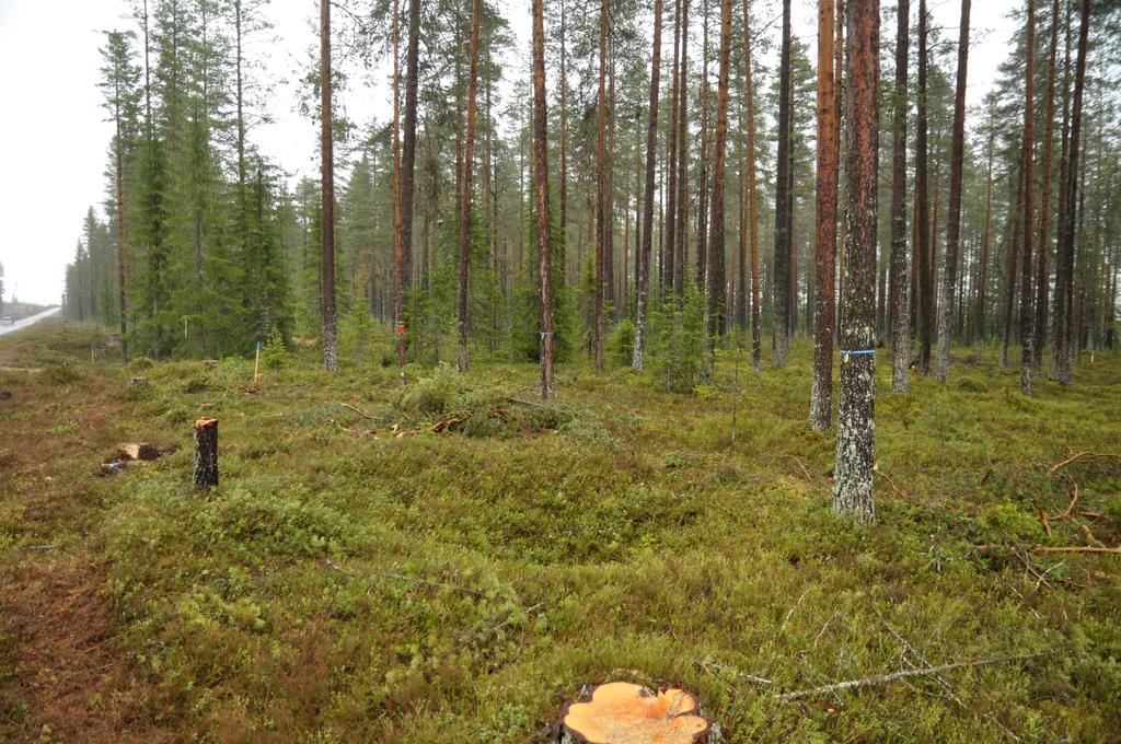 Vid undersökningen grävdes ett schakt i NV-SÖ riktning till en bredd av 0,6 m. Djupet varierade mellan 0,4 och 1 m. Djupet bestämdes av djupet ner till steril jord. Profil ritades mot SV.