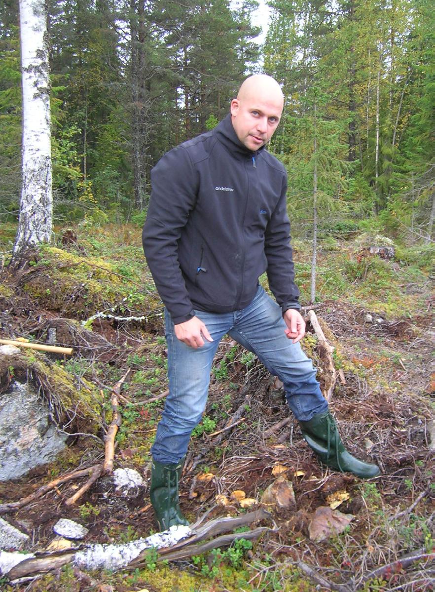 kopparkis i närheten av Torningssjön.