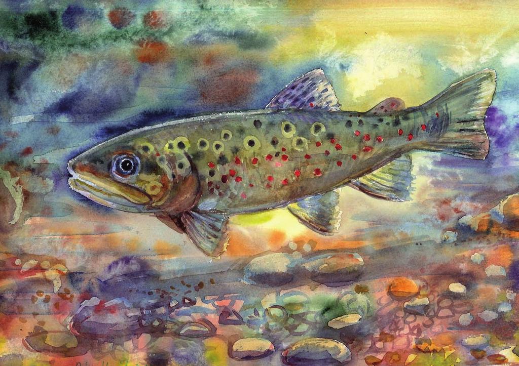 Öringen undersöks med elfiske SABINE LIND Tillgänglighet till Vättern Vid en genomgång av Länsstyrelsens data från elfisken under åren 2004-2010 framgår det att öringtätheterna är högst i Motala