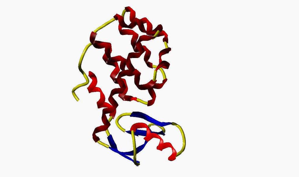 T4 Lysozym Förbättra helixpropensitet, t.ex mutant V131A Minska entropin i det uppveckade tillståndet, t.