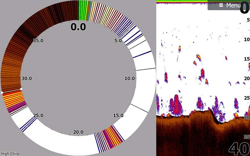 Blinklod I blinklodsläget visas en blinklodsvy i den vänstra panelen och en normal ekolodsvy i den högra panelen.