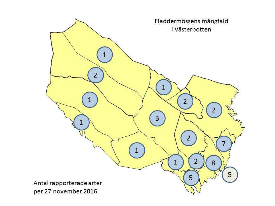 42 Michael Schneider & Doris Grellmann perioden 18 21 augusti 2016 en kortare inventering av fladdermöss i Paulund vid Umeälven, i gränstrakterna mellan Lycksele och Storumans kommuner.