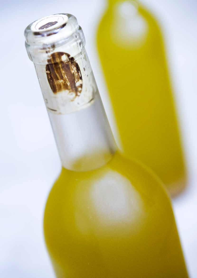 Innehållsförteckning Domaine d Escapat och Erbjudandet 4 VD har ordet 6 Inbjudan till teckning 7 Bakgrund, motiv och framtida kapitalbehov 8 Vision, affärsidé, strategi och mål 9 Verksamheten 10