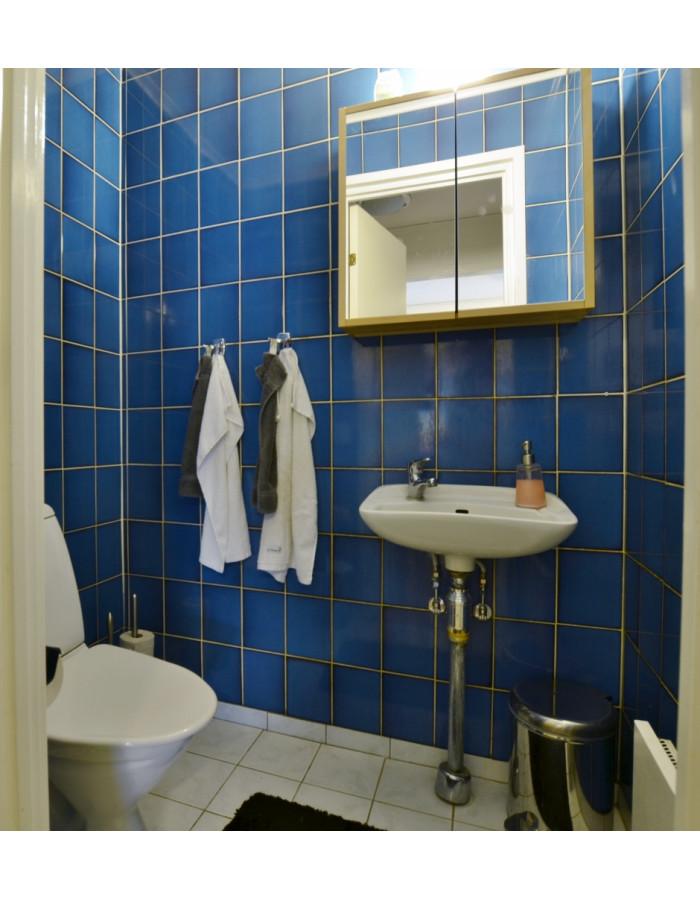 Gäst-wc Gäst-wc som nås från hallen.