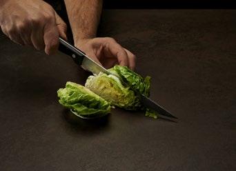 8 6 0 Reptålighet Dekton är den mest reptåliga ytan på marknaden och trots atten kniv inte kan skada Dekton, rekommenderas skärbrädor för att skydda ert husgeråd.