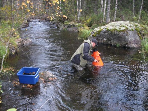 vägtrumma Flottledsåterställning