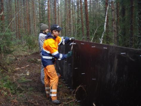 LUMMUKKAKANGAS: Återställandet av gammal bäckfåra (800 m) (Text och