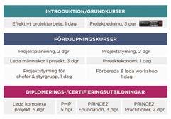 Effektivt projektarbete För de flesta är de första kontakterna med projekt inte i rollen som fullfjädrad projektledare, utan oftast som projektmedarbetare med ansvar för delar i projekt.